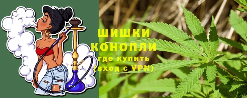 KRAKEN как зайти  Курчалой  Бошки марихуана OG Kush 